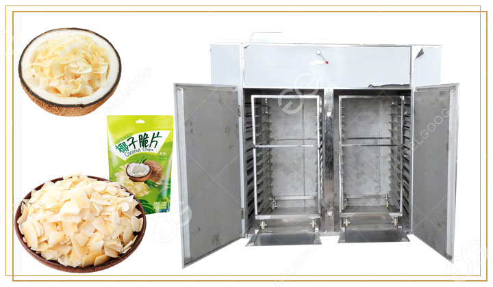 coconut chips drying machine