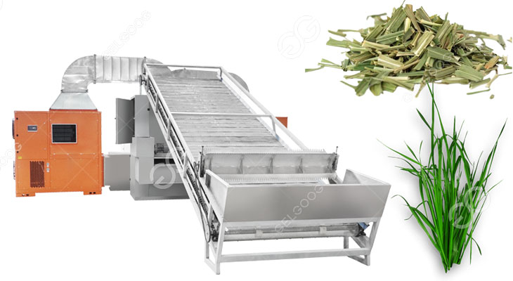 lemongrass drying machine