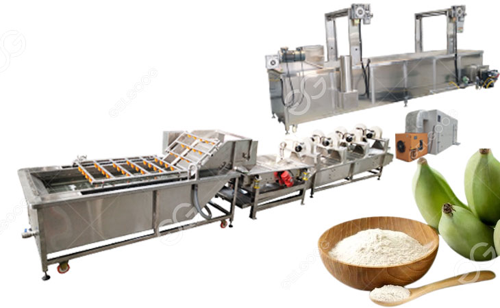 plantain flour processing plant