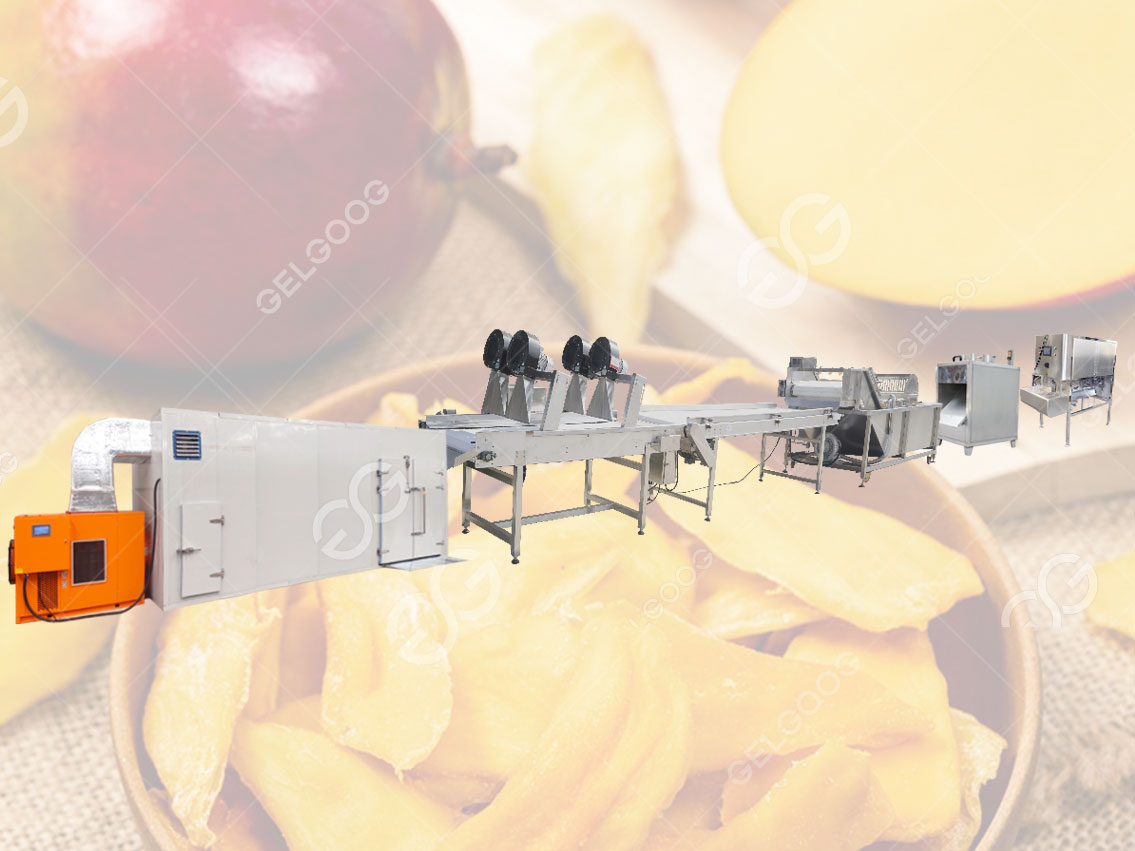 dried mango processing machine