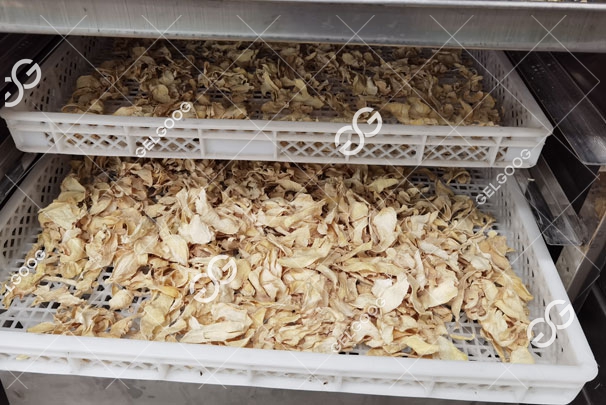 ginger dehydrating