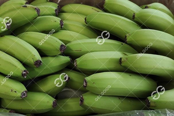 green plantain