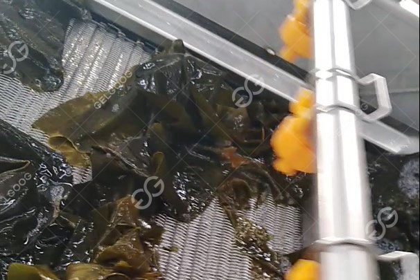seaweed washing