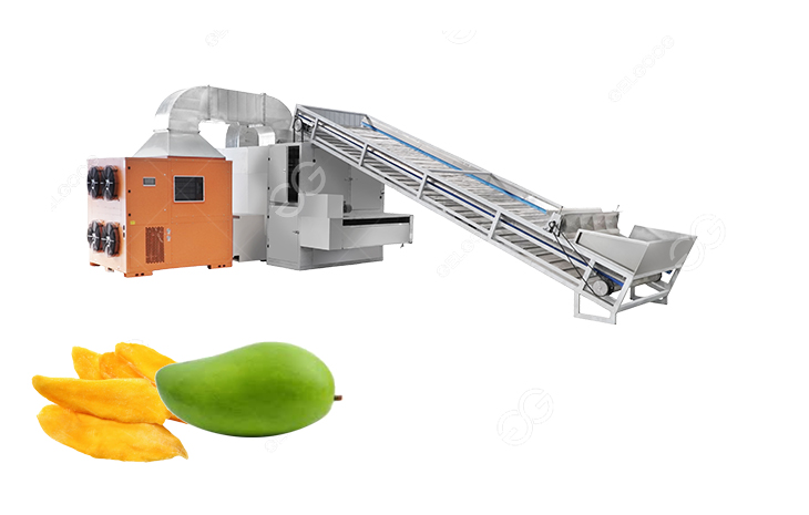 mango processing machine