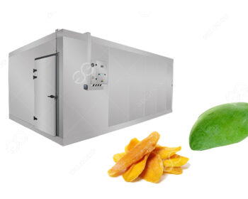 what is the drying technology of mango