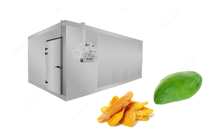 what is the drying technology of mango