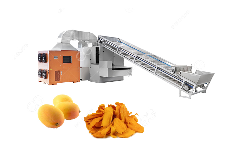 mango drying machine manufacturer