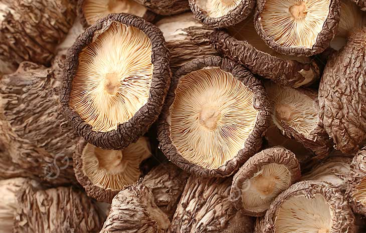 dried-mushroom